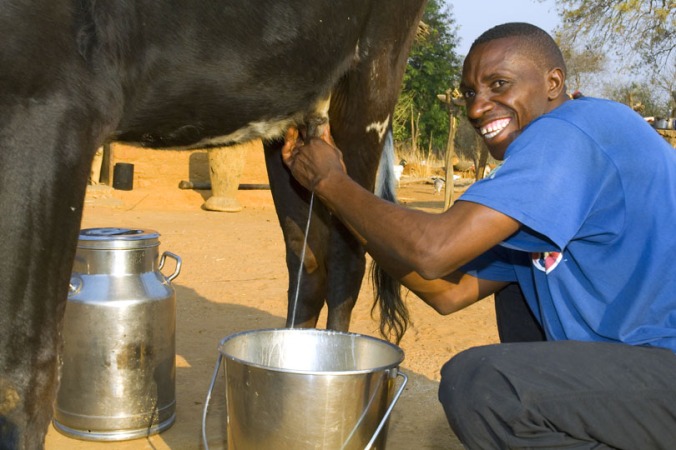 Magoye Small Holder Dairy farmers Cooperative